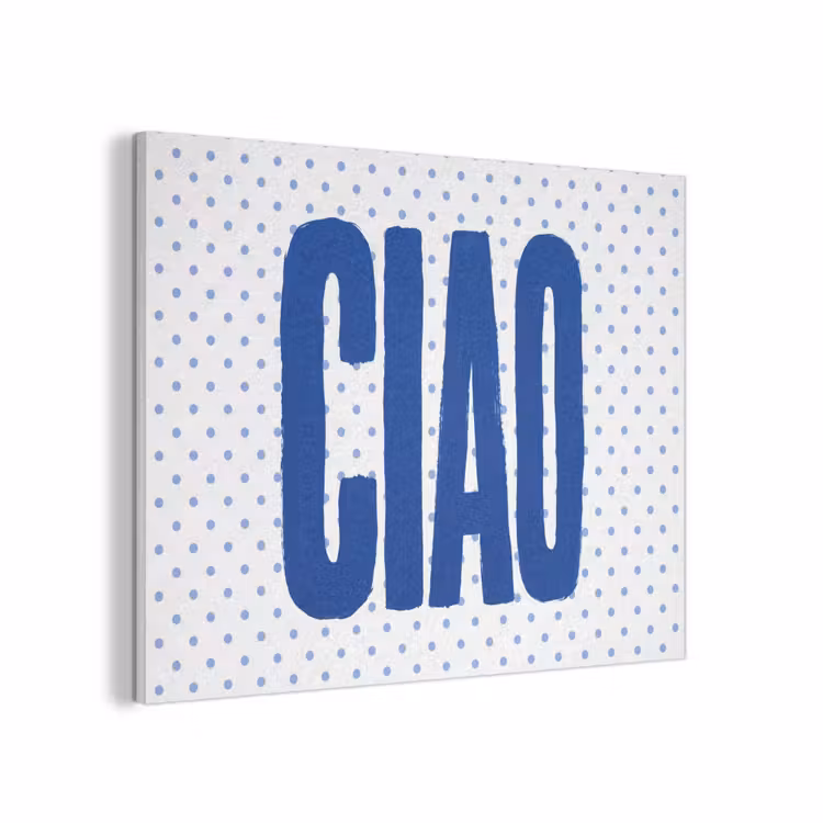 Ciao - Stippen - Roze - Wit PET vilt klein -3d