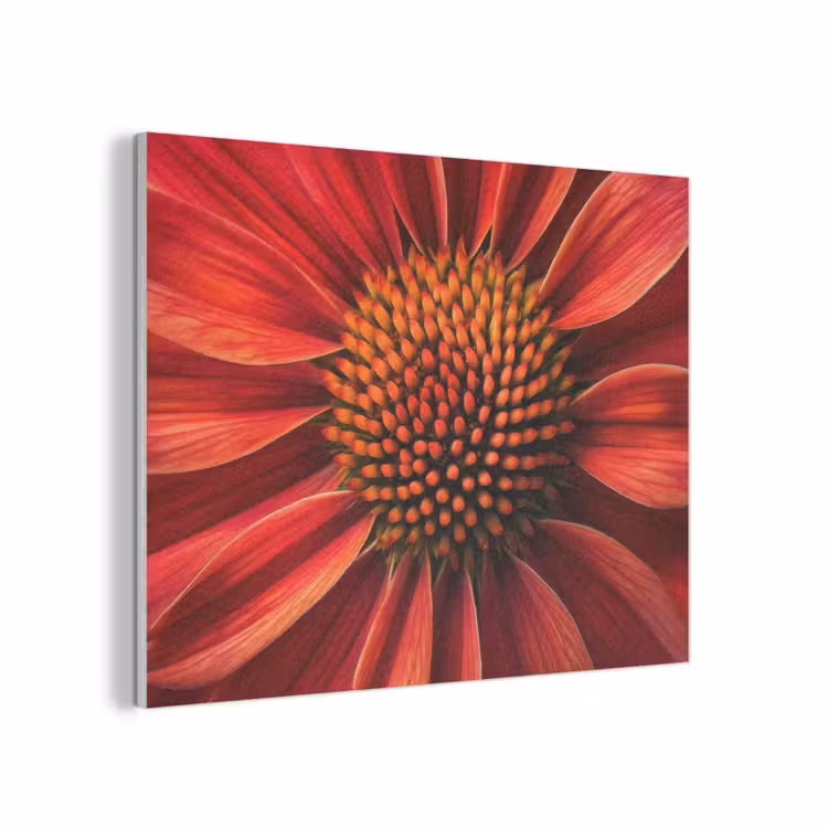 Close up - Bloem- Rood PET vilt klein -3d