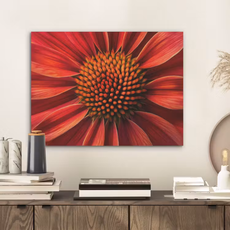 Close up - Bloem- Rood PET vilt klein -sfeer1