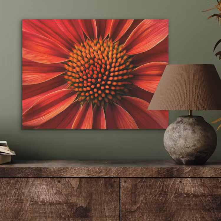 Close up - Bloem- Rood PET vilt klein -sfeer2