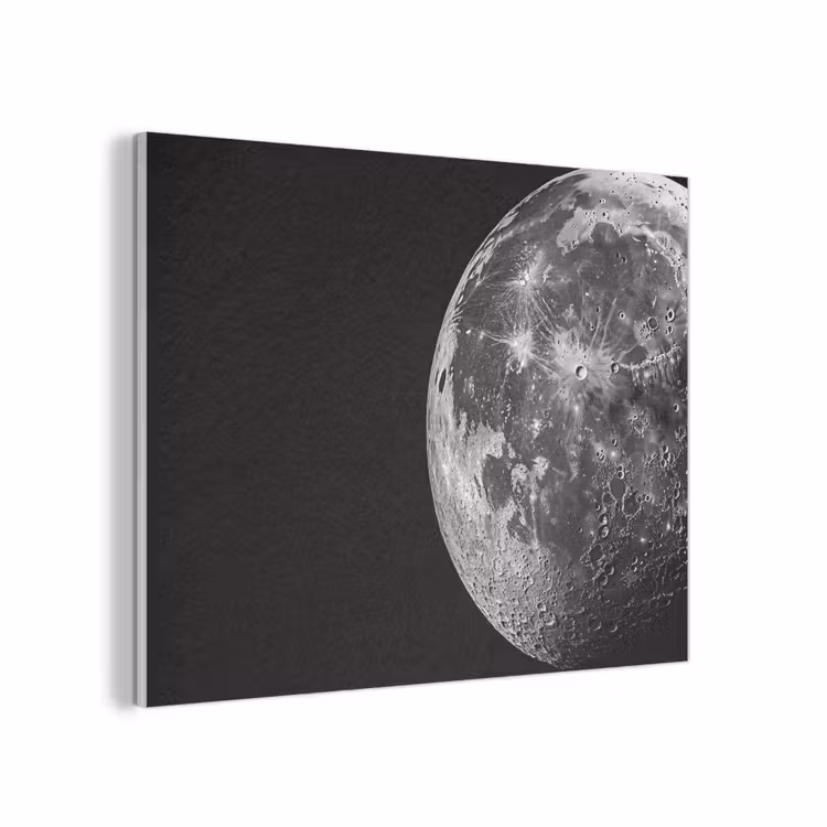 Close-up - Maan - Wit - Textuur PET vilt klein -3d