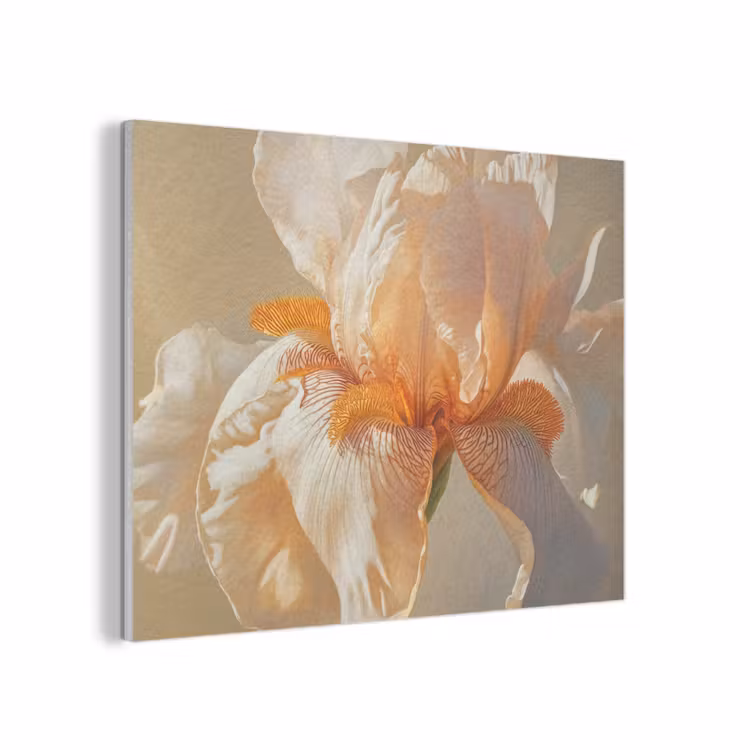 Close up - Oranje - Iris PET vilt klein -3d