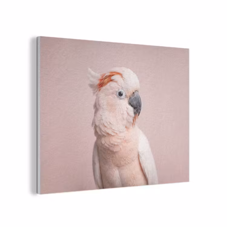 Kaketoe - Portret - Roze PET vilt klein -3d