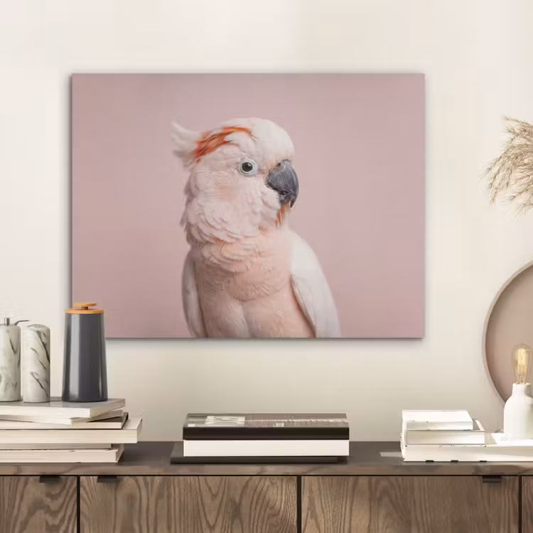 Kaketoe - Portret - Roze PET vilt klein -sfeer1