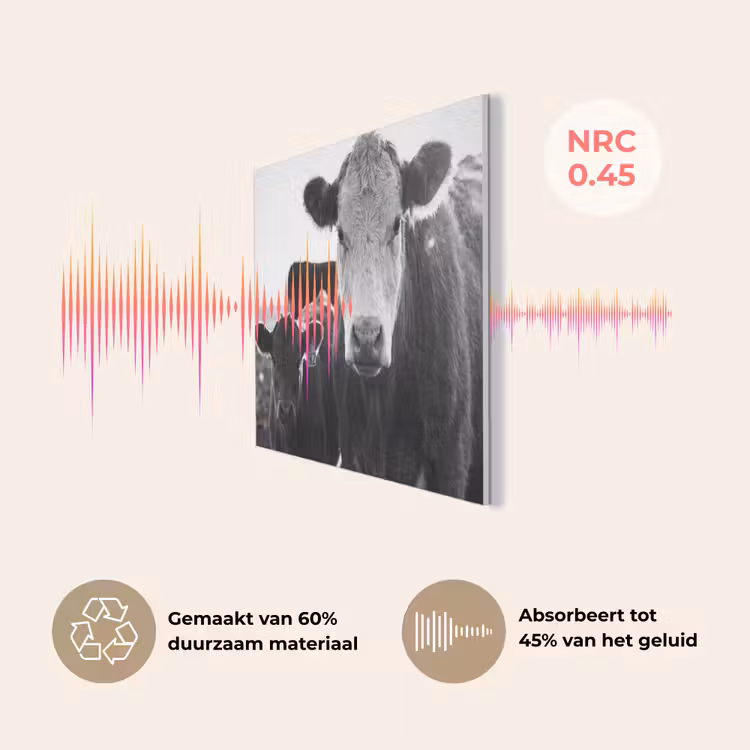 Koeien - Zwart - Wit PET vilt klein -USP_NL