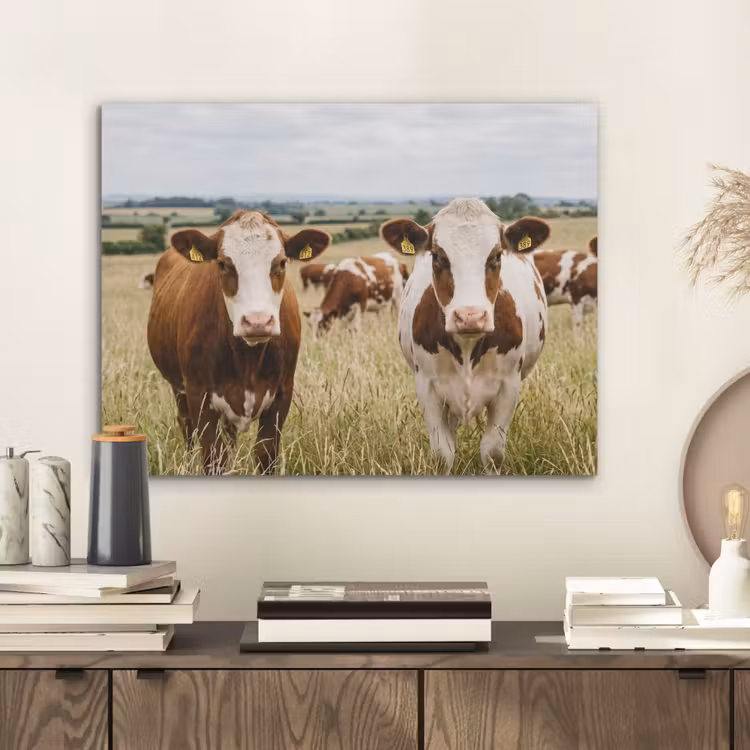 Koeien - Portret - Weide - Boerderij - Nieuwsgierig PET vilt klein -sfeer1