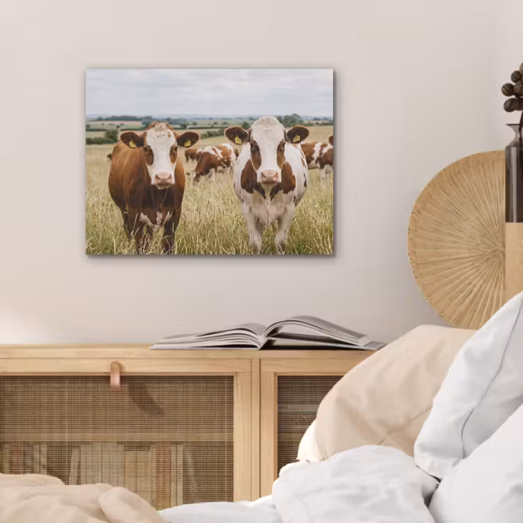 Koeien - Portret - Weide - Boerderij - Nieuwsgierig PET vilt klein -sfeer3