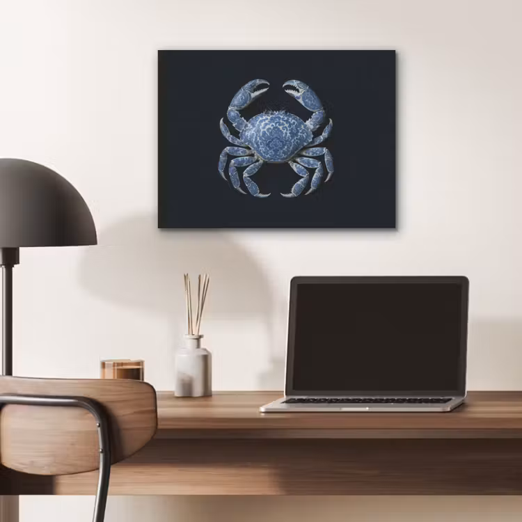 Krab - Delfts blauw - Dieren PET vilt klein -sfeer5