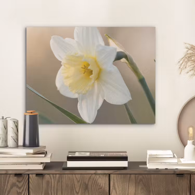 Narcis - Bloem - Minimalistisch PET vilt klein -sfeer1
