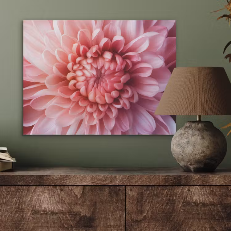Dahlia - Bloem - Close up - Roze PET vilt klein -sfeer2