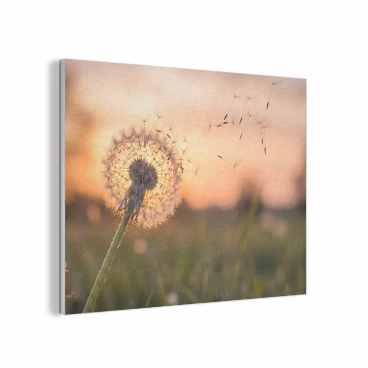 Paardenbloem - Zonsondergang - Veld PET vilt klein -3d