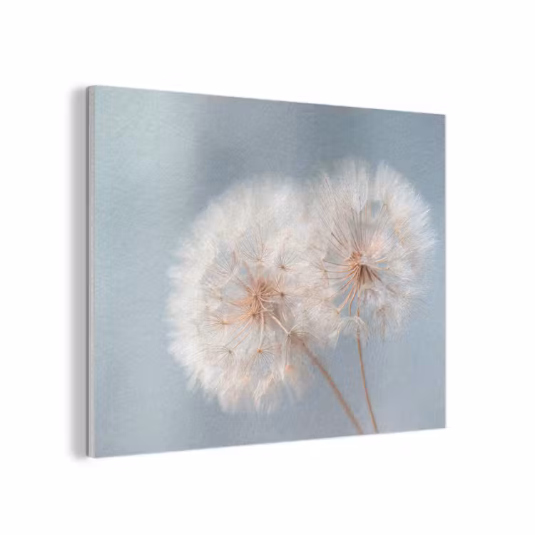 Paardenbloemen - Pluisjes - Wit PET vilt klein -3d