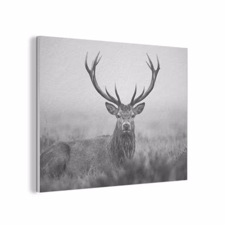 Hert - Mistig - Zwart - Wit PET vilt klein -3d