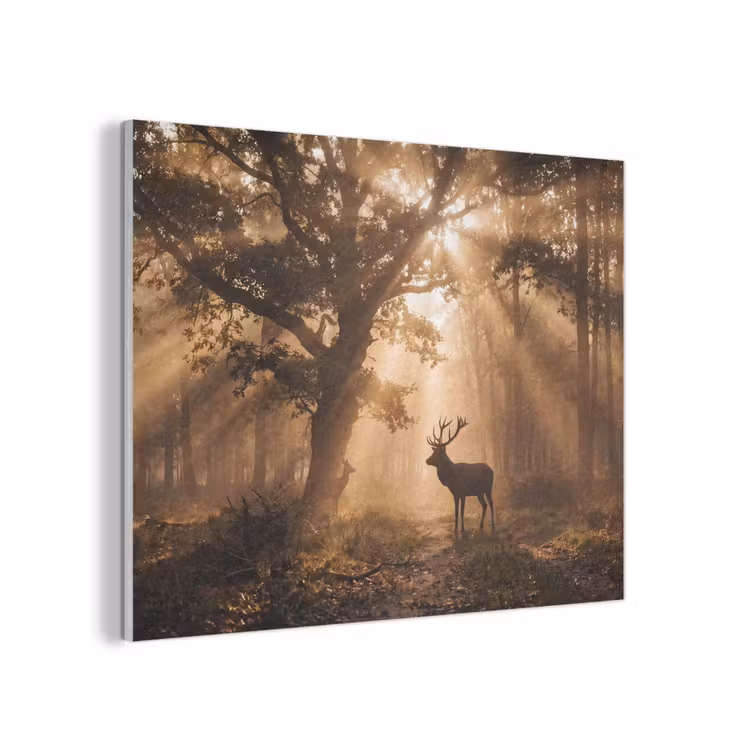 Hert - Bos - Mistig - Natuur - Goud PET vilt klein -3d