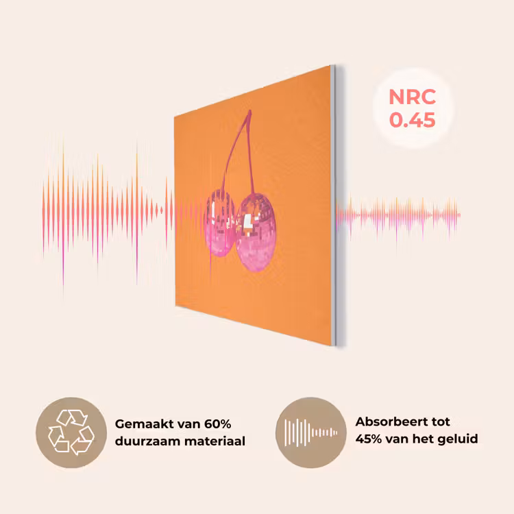 Discoballen - Kers - Spiegels - Roze PET vilt klein -USP_NL