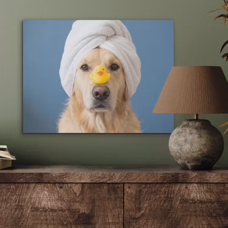 Hond - Badeend - Geel PET vilt klein -sfeer2