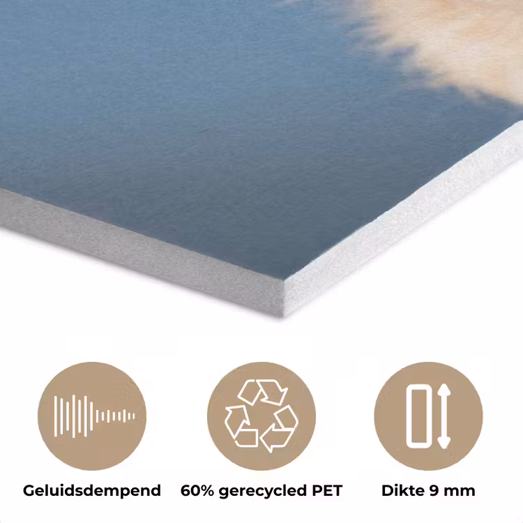 Hond - Badeend - Geel PET vilt klein -closeup_NL