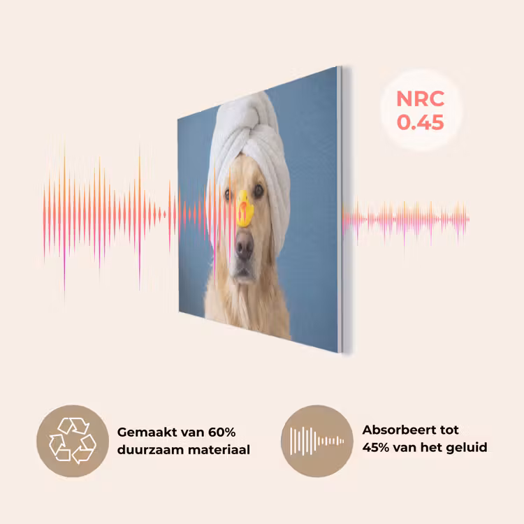Hond - Badeend - Geel PET vilt klein -USP_NL