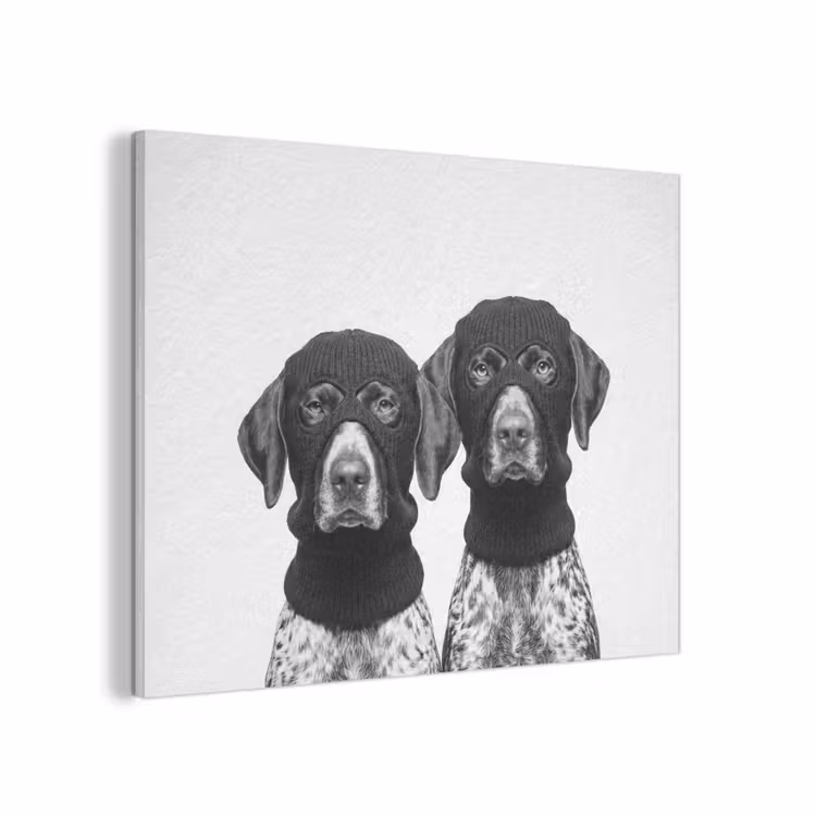 Honden - Bivakmuts - Zwart - wit PET vilt klein -3d