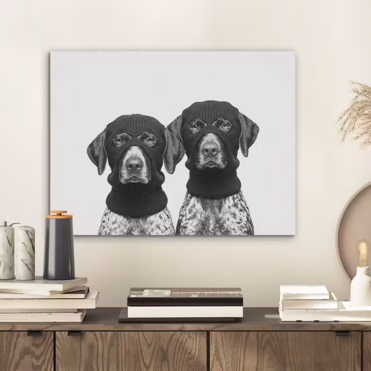 Honden - Bivakmuts - Zwart - wit PET vilt klein -sfeer1
