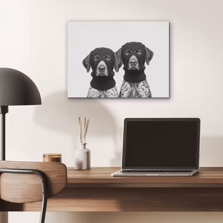 Honden - Bivakmuts - Zwart - wit PET vilt klein -sfeer5