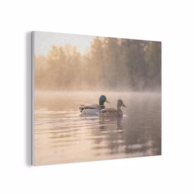 Eenden - Water - Mist - Natuur PET vilt klein -3d