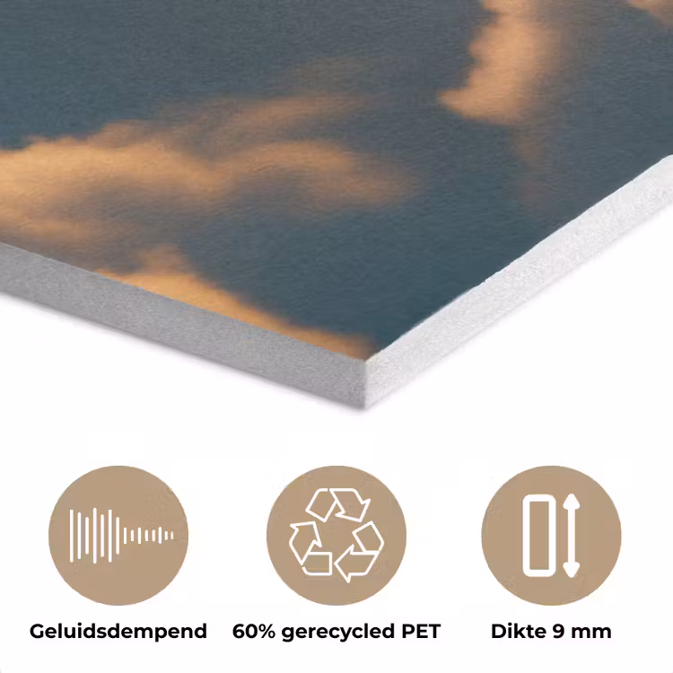 Adelaar - Wolken - Zon PET vilt klein -closeup_NL