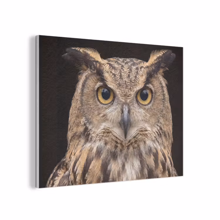 Oehoe - Uil - Portret - Bruin PET vilt klein -3d