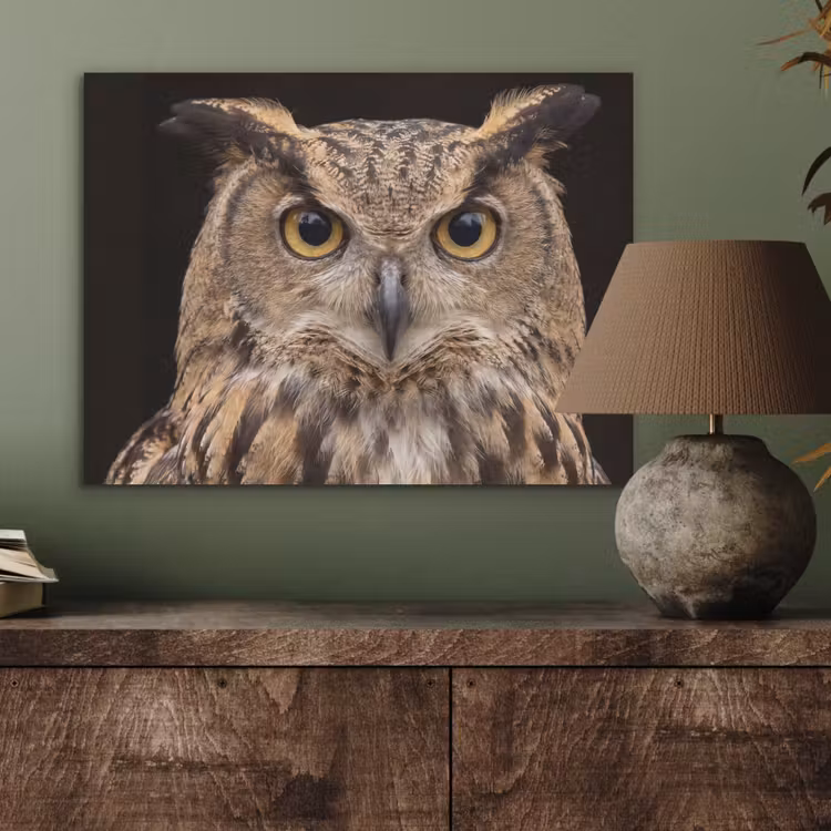 Oehoe - Uil - Portret - Bruin PET vilt klein -sfeer2