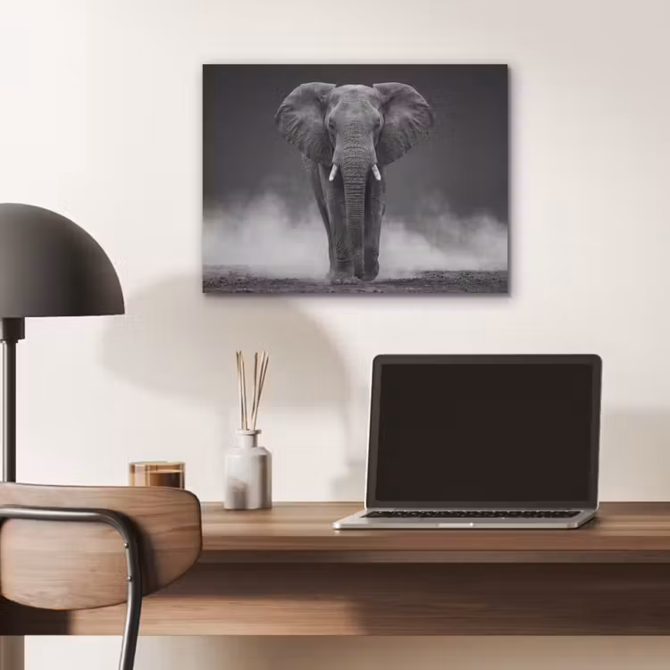 Olifant - Zwart - Wit - Rook PET vilt klein -sfeer5