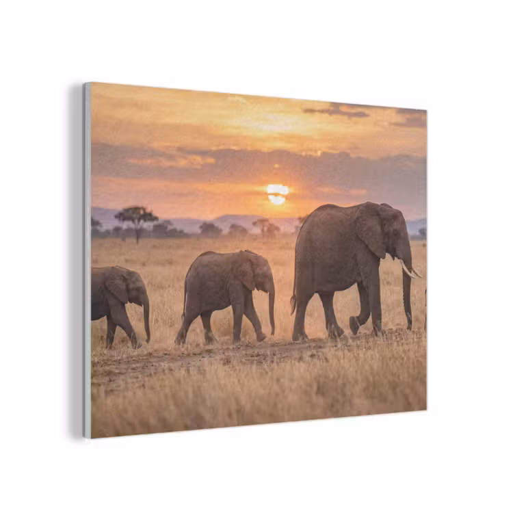 Olifanten - Savanne - Zonsondergang - Afrika - Warm PET vilt klein -3d