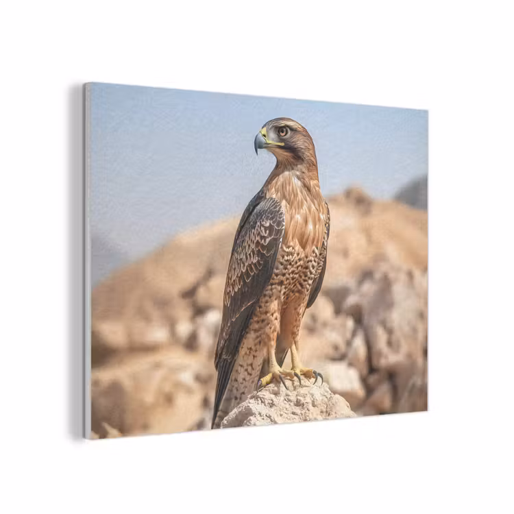 Valk - Vogel - Rots - Macht PET vilt klein -3d
