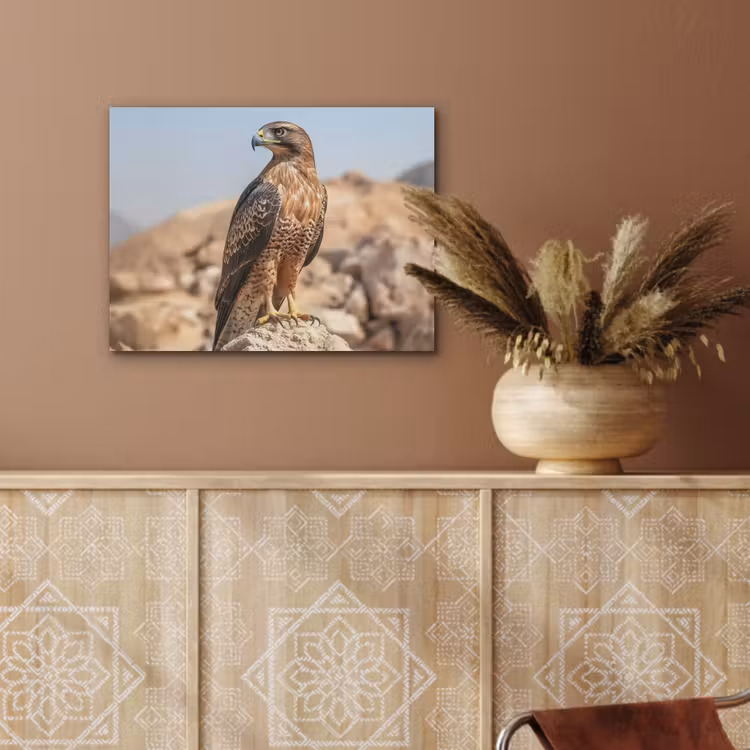 Valk - Vogel - Rots - Macht PET vilt klein -sfeer4