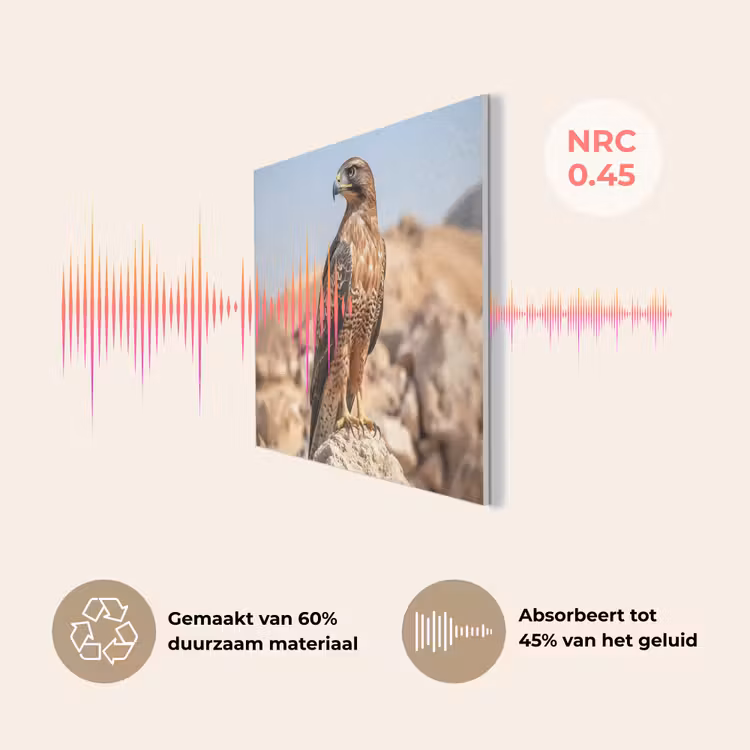 Valk - Vogel - Rots - Macht PET vilt klein -USP_NL