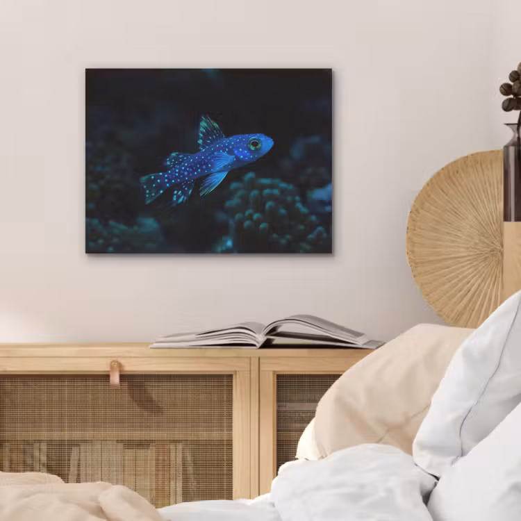 Vis - Stippen - Koraal - Blauw PET vilt klein -sfeer3