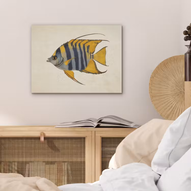 Vis - Sierlijk - Vinnen - Illustratie PET vilt klein -sfeer3