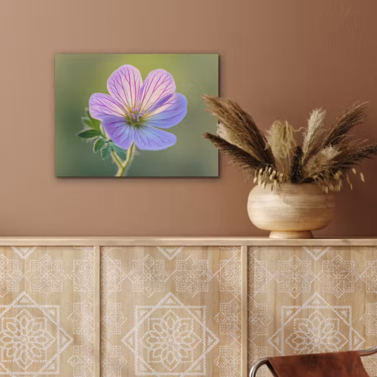 Bloem - Close up - Paars PET vilt klein -sfeer4