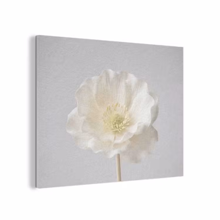 Bloem - Minimalistisch -Wit PET vilt klein -3d