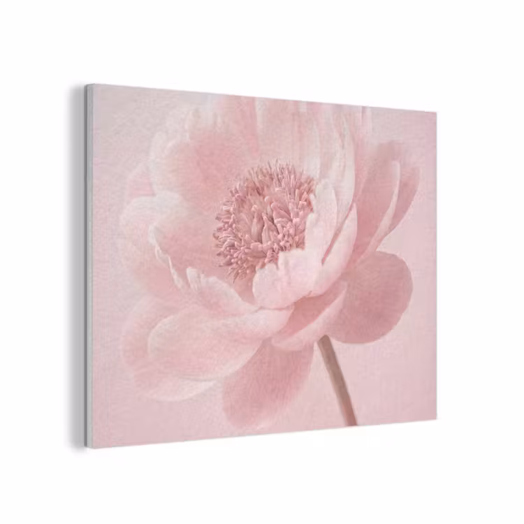 Bloem - Pioenroos - Roze PET vilt klein -3d