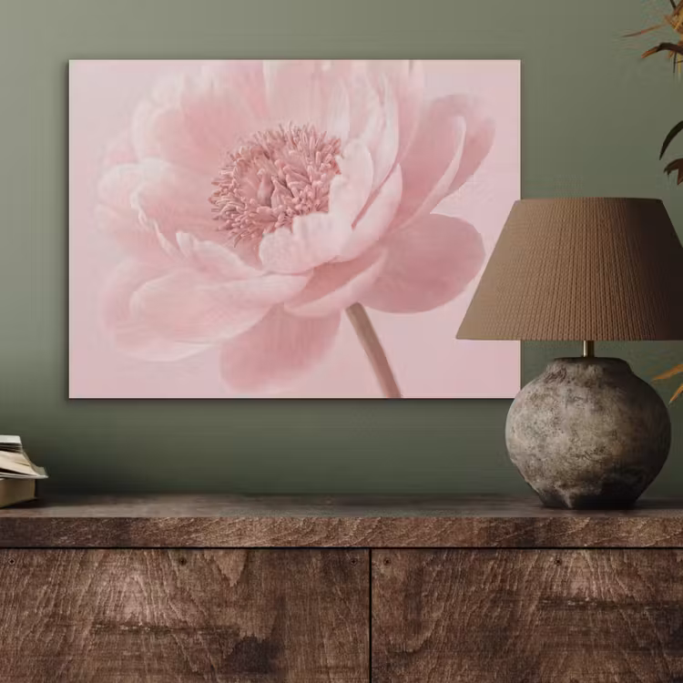 Bloem - Pioenroos - Roze PET vilt klein -sfeer2