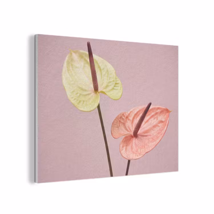 Bloemen - Anthuriums - Geel - Roze PET vilt klein -3d