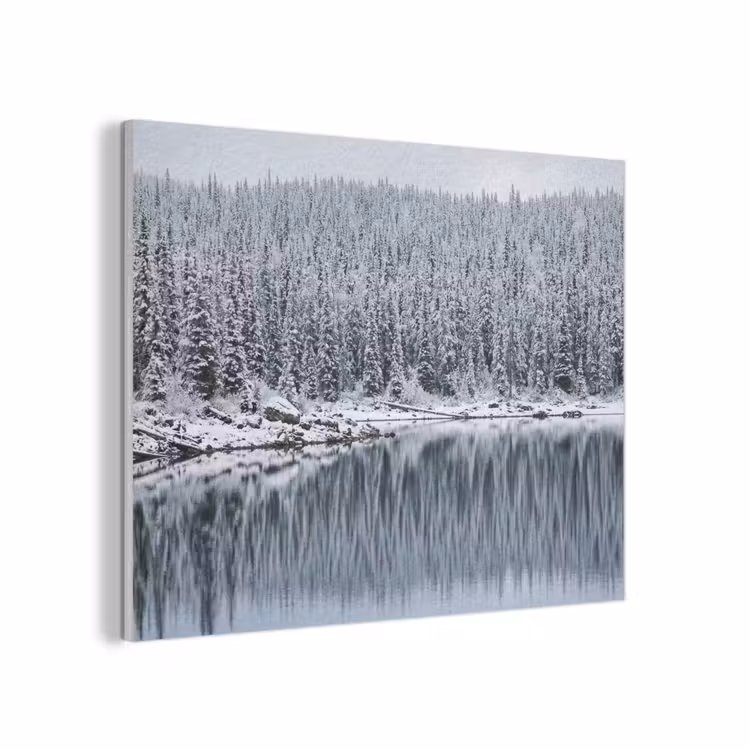 Bos - Reflectie - Meer - Winter - Serene PET vilt klein -3d