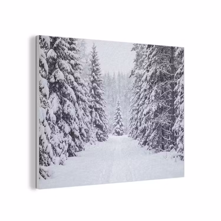 Bos - Winter - Sneeuw - Pad - Natuur PET vilt klein -3d