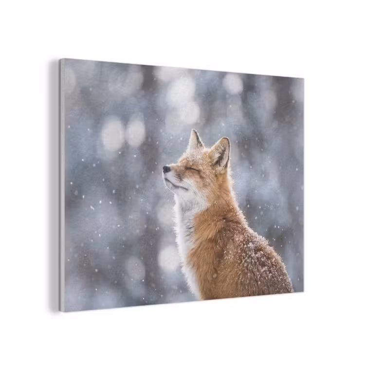 Vos - Sneeuwval - Portret - Winter - Sfeervol PET vilt klein -3d