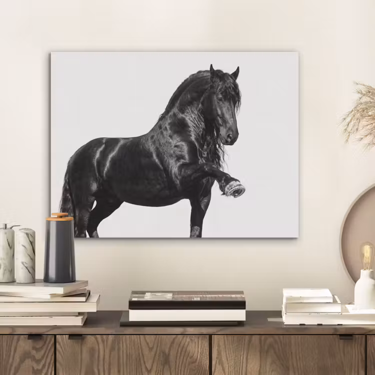 Fries - Hengst - Modern PET vilt klein -sfeer1