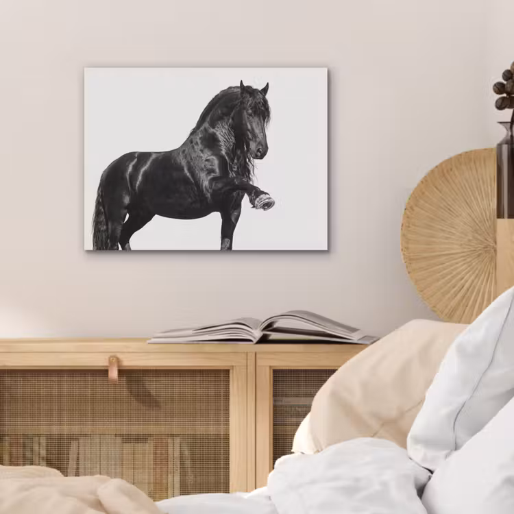 Fries - Hengst - Modern PET vilt klein -sfeer3