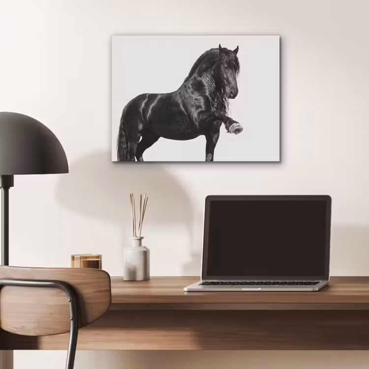 Fries - Hengst - Modern PET vilt klein -sfeer5
