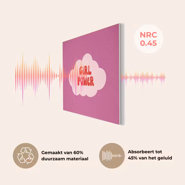 Girl power - Wolk - Roze PET vilt klein -USP_NL