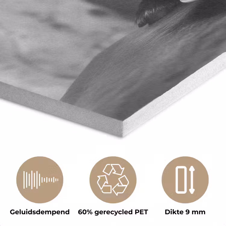 Geit - Bord - Spaghetti - Zwart Wit PET vilt klein -closeup_NL