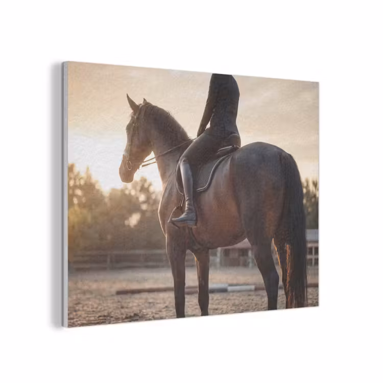 Harmonie - Ruiter - Zon PET vilt klein -3d